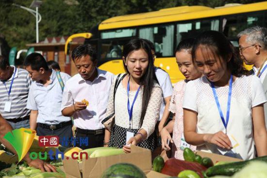 来自国内科研院校、金融机构、有机生产、销售企业专家以及知名有机农业实践者在车河社区品尝有机蔬菜。 中国青年网记者李延兵 摄