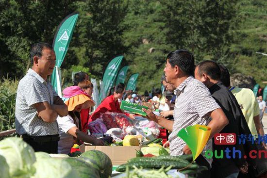 第二届中国“车河有机农业论坛”在山西灵丘举行 中国青年网记者李延兵 摄