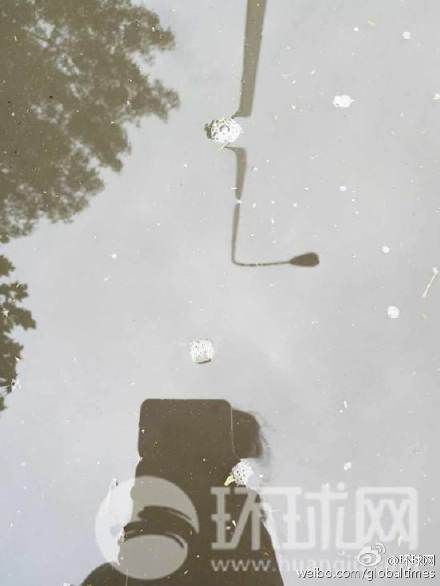 下雨后地上出现白色泡沫