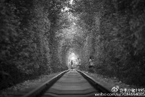 女孩“爱情隧道”拍照两度逼停火车拍下这一幕的网友遭质疑：咋不制止？