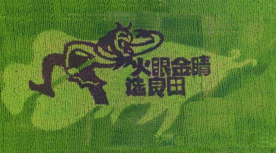 悟空：火眼金睛选良田