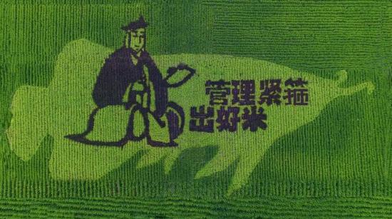 唐僧：管理紧箍出好米