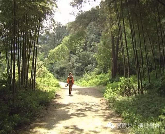 三里镇记录南陵最著名的抗倭名将