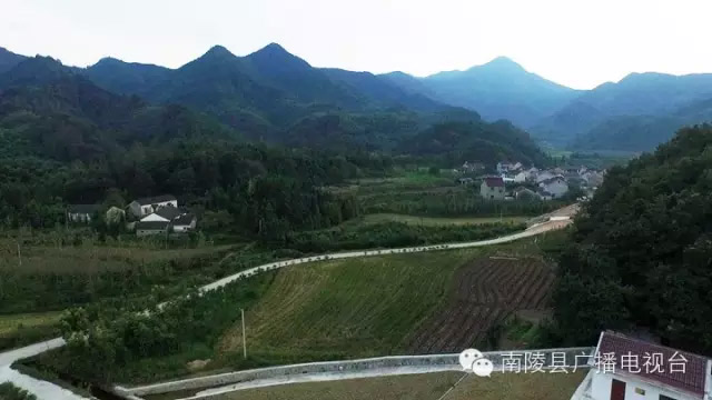 南陵烟墩图