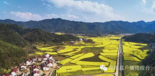 南陵烟墩图
