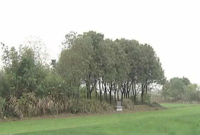 南陵黄盖墓