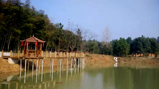南陵桃园村