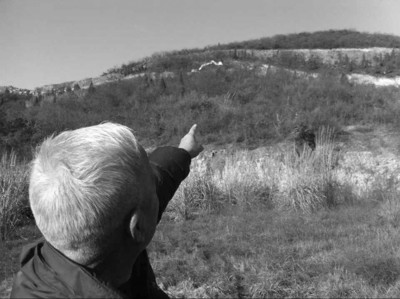 村民反映说荒山已在开发