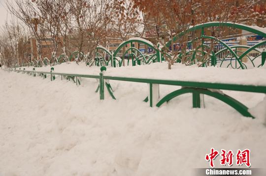 积雪和路边的护栏一样高。 陈洋 摄