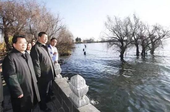 2015年1月20日，习近平来到大理白族自治州大理市湾桥镇古生村，仔细察看洱海边的生态保护湿地。新华社记者 鞠鹏 摄