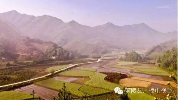 南陵霭里 万兴村