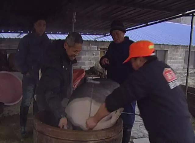 大寒小寒 南陵的杀猪菜