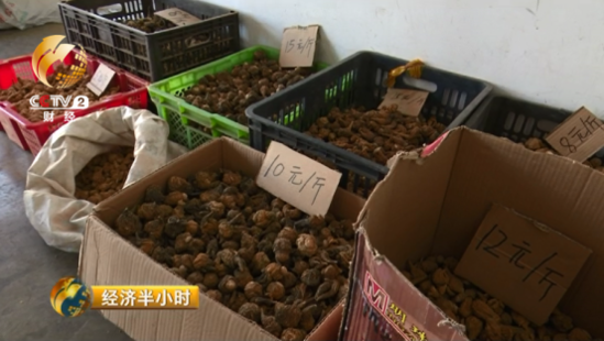 大逆转:玛咖每公斤120元跌落到1元 遭遇白菜价