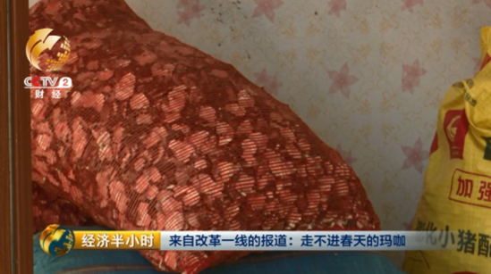 大逆转:玛咖每公斤120元跌落到1元 遭遇白菜价