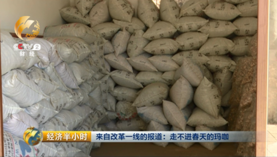 大逆转:玛咖每公斤120元跌落到1元 遭遇白菜价