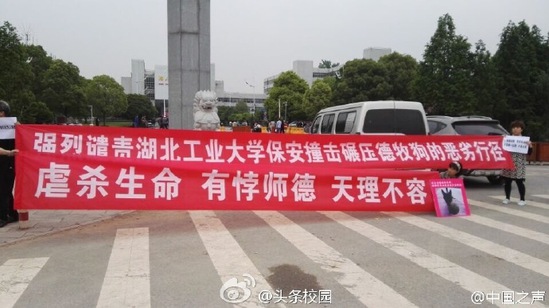 “爱狗人士”校门口示威