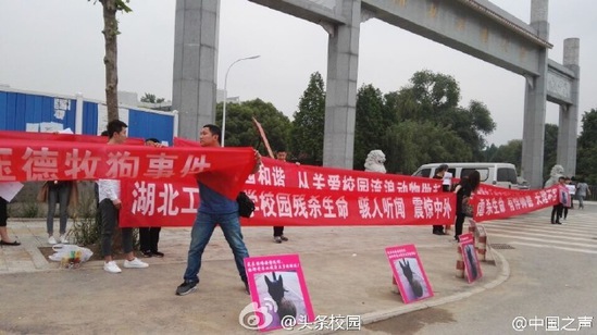 “爱狗人士”校门口示威