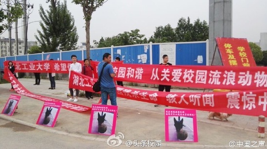 “爱狗人士”校门口示威