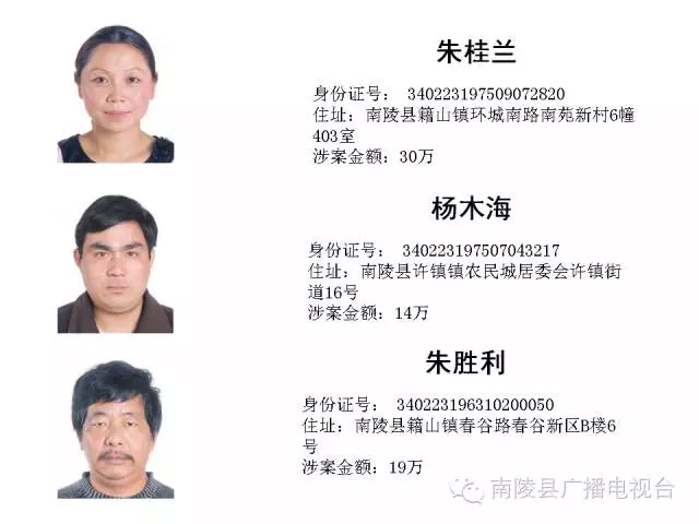 南陵第六批“老赖”名单