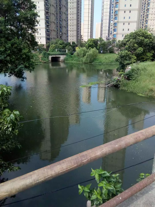 北门大河画眉嘴沿岸 北门大河画眉嘴沿岸